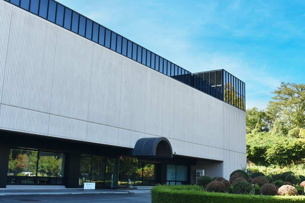 先輩へのインタビュー