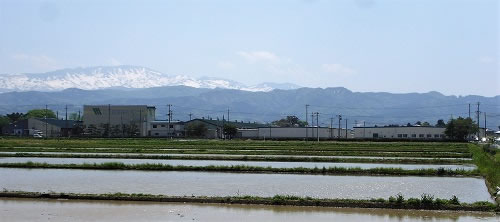 松文産業株式会社鶴岡工場